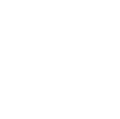 Logo Salvatore Leilões