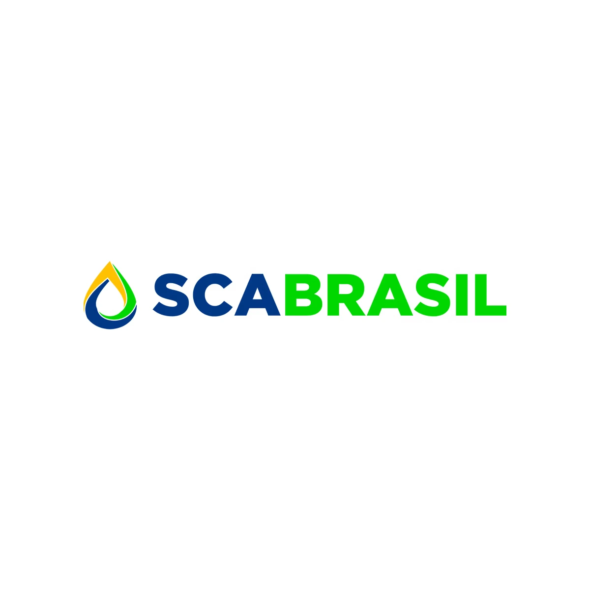 Capa do case SCA Brasil